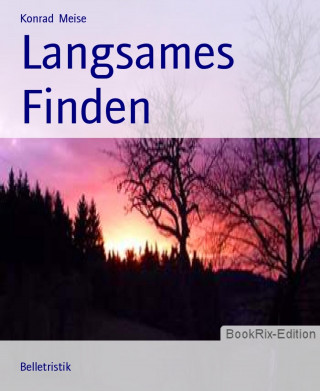 Konrad Meise: Langsames Finden