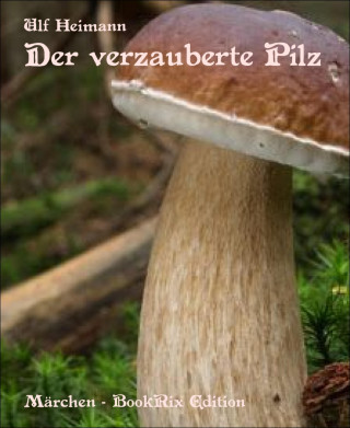 Ulf Heimann: Der verzauberte Pilz