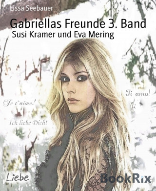 Lissa Seebauer: Gabriellas Freunde 3. Band
