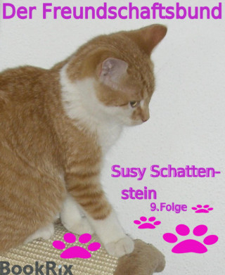Susy Schattenstein: Der Freundschaftsbund