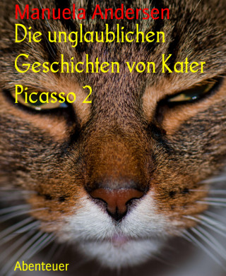 Manuela Andersen: Die unglaublichen Geschichten von Kater Picasso 2