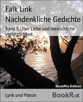 Falk Link: Nachdenkliche Gedichte