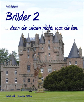 Katja Rübsaat: Brüder 2