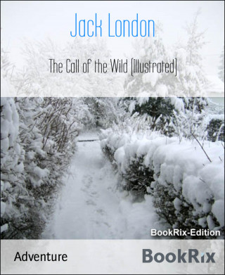 Jack London: The Call of the Wild (Illustrated)