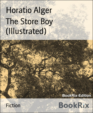 Horatio Alger: The Store Boy (Illustrated)