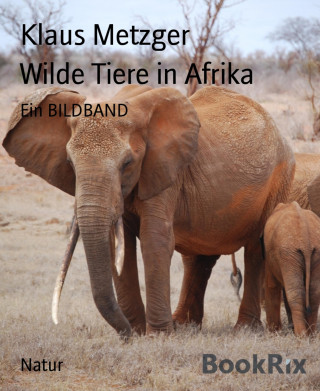 Klaus Metzger: Wilde Tiere in Afrika
