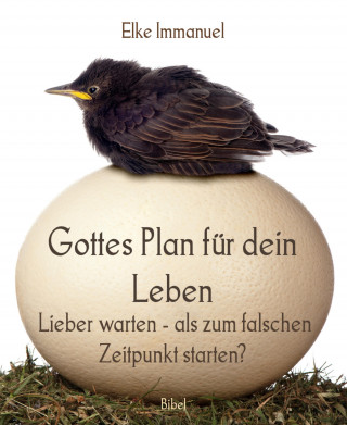 Elke Immanuel: Gottes Plan für dein Leben