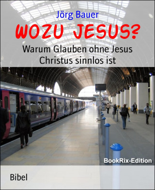 Jörg Bauer: Wozu Jesus?