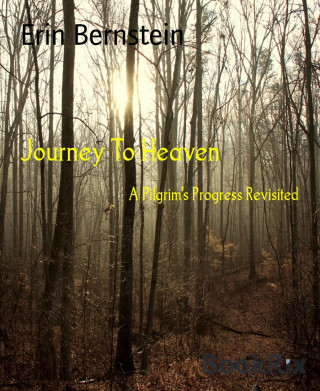 Erin Bernstein: Journey To Heaven