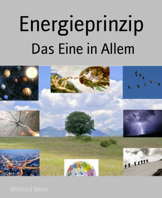 Winfried Meier: Energieprinzip