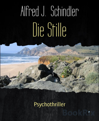 Alfred J. Schindler: Die Stille