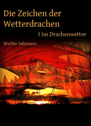 Wiebke Salzmann: Die Zeichen der Wetterdrachen