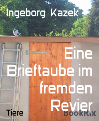 Ingeborg Kazek: Eine Brieftaube im fremden Revier