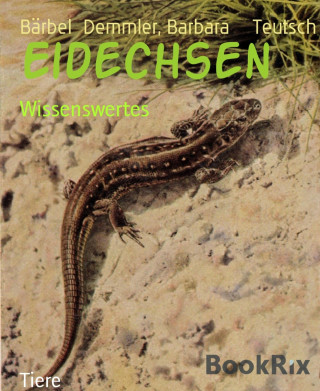Bärbel Demmler, Barbara Teutsch: Eidechsen