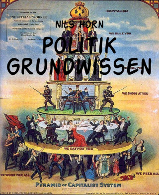 Nils Horn: Politik Grundwissen