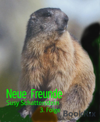 Susy Schattenstein: Neue Freunde