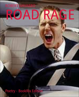 ROBERT NAVARRO: ROAD RAGE