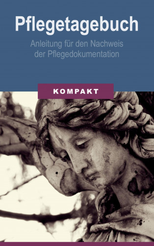 Angelika Schmid: Pflegetagebuch - Anleitung für den Nachweis der Pflegedokumentation