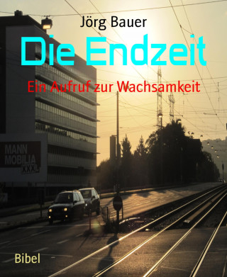 Jörg Bauer: Die Endzeit