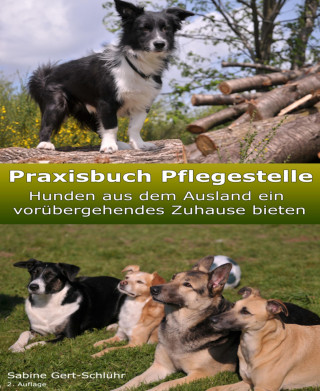 Sabine Gert-Schlühr: Praxisbuch Pflegestelle