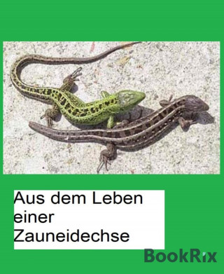 Bärbel Demmler, Barbara Teutsch: Aus dem Leben einer Zauneidechse