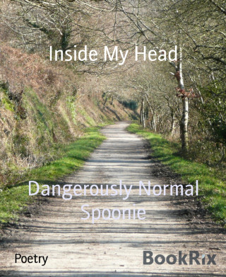 Dangerously Normal Spoonie: Inside My Head
