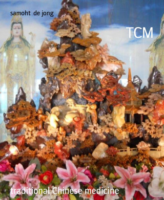 samoht de jong: TCM