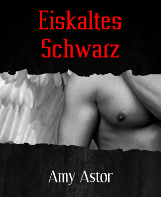 Amy Astor: Eiskaltes Schwarz