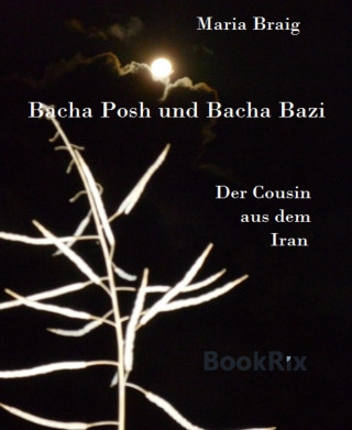 Maria Braig: Bacha Posh und Bacha Bazi