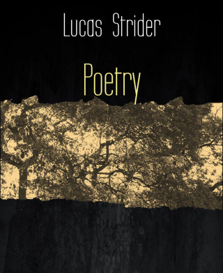 Lucas Strider: Poetry