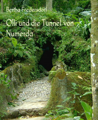 Bertha Fredersdorf: Olli und die Tunnel von Numerda