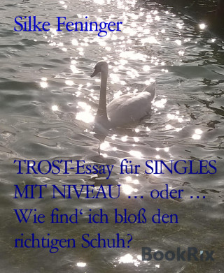 Silke Feninger: TROST-Essay für SINGLES MIT NIVEAU … oder … Wie find' ich bloß den richtigen Schuh?