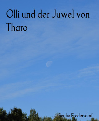 Bertha Fredersdorf: Olli und der Juwel von Tharo