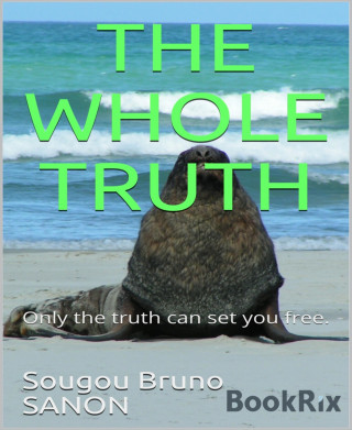 Sougou Bruno SANON: The whole truth