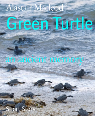 Alastair Macleod: Green Turtle