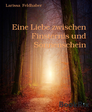 Larissa Feldhaber: Eine Liebe zwischen Finsternis und Sonnenschein