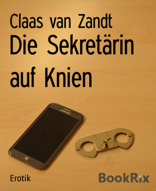 Claas van Zandt: Die Sekretärin auf Knien