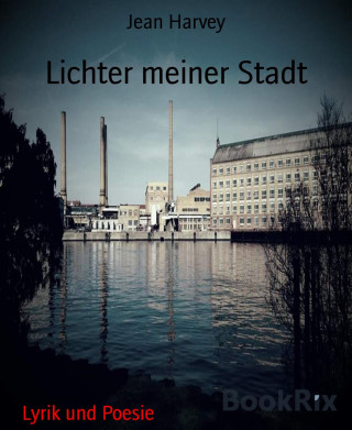 Jean Harvey: Lichter meiner Stadt