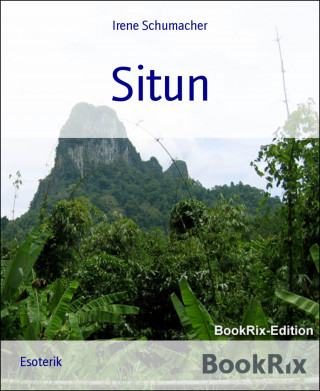 Irene Schumacher: Situn