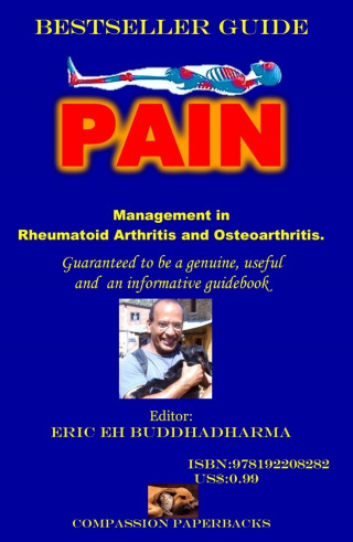 Eric EH buddhadharma: Pain