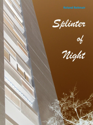 Roland Reitmair: splinter of night