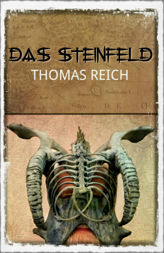 Thomas Reich: Das Steinfeld