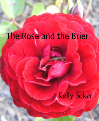 Kelly Baker: The Rose and the Brier