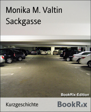 Monika M. Valtin: Sackgasse