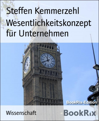 Steffen Kemmerzehl: Wesentlichkeitskonzept für Unternehmen