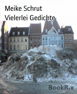 Meike Schrut: Vielerlei Gedichte