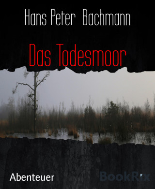 Hans Peter Bachmann: Das Todesmoor