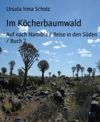 Ursula Irma Scholz: Im Köcherbaumwald