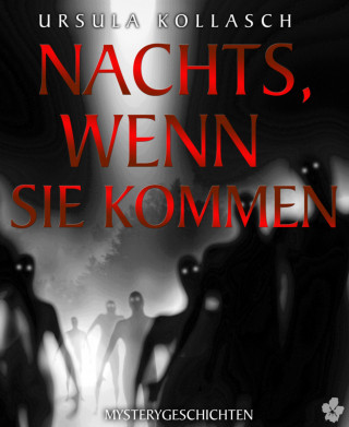 Ursula Kollasch: Nachts, wenn sie kommen