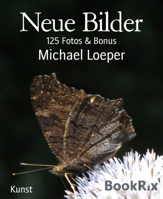 Michael Loeper: Neue Bilder